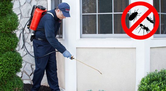 Harmandalı Fare İlaçlama böcek ilaçlama ve haşere kontrolü — ilaclama-tr.com